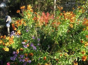 Gartenprojekt
